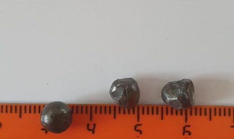 Под Каширой охотник застрелил соседского алабая