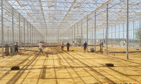 Полтысячи рабочих мест, более 27 Га застройки – в Новоселках полным ходом строится 4-я очередь теплиц