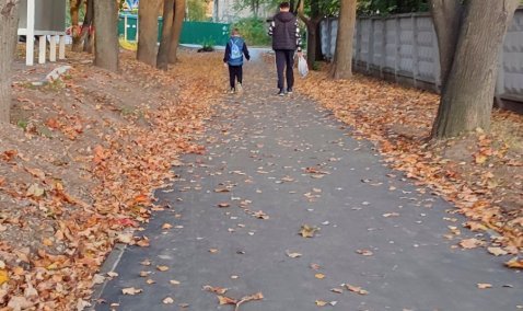 Десять тротуаров обустроят в сельской местности округа в этом году