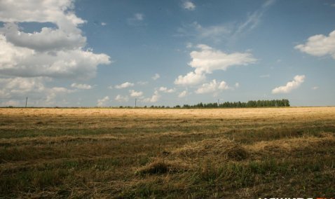 В Ледово протестовали против мусороперерабатывающего завода
