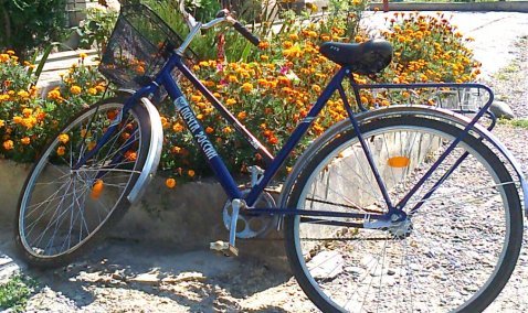 Почтальон из Каширы получил немецкий почтовый велосипед за победу в областном конкурсе