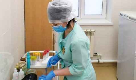 Тепличный комплекс, рынок, МФЦ – в Кашире расширяется география вакцинации от ковида