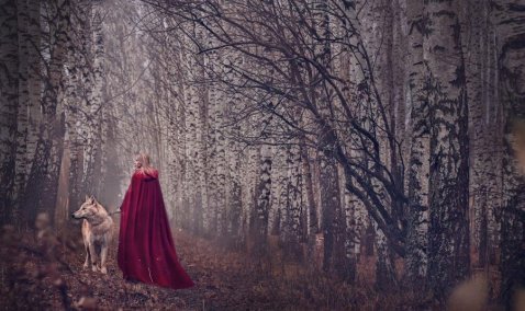 В окрестностях Каширы-3 начали гулять волки