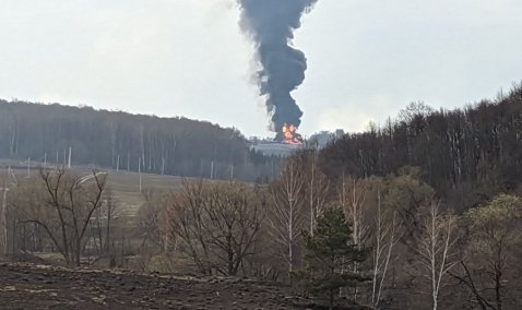 Под Каширой крупный пожар: пламя достигает высоты пятиэтажного дома