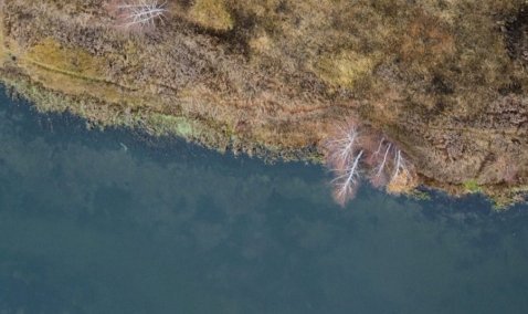 Пруд в Ожерелье расчистят в этом году по программе Минэкологии