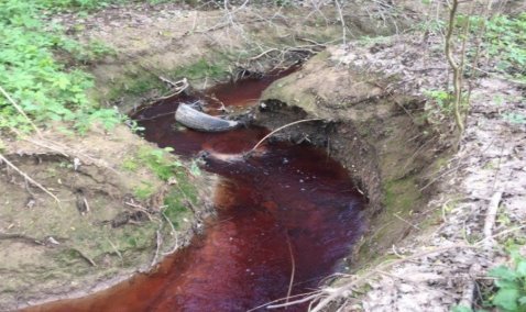Багровые реки: под Каширой ручей, впадающий в Оку, окрасился в красный цвет