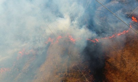 Дымный апрель: чем опасен и что грозит за пал травы