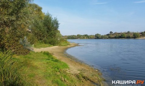 Школьников, пропавших в Кашире, нашли на противоположном берегу Оки