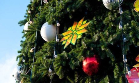 Почти 300 тысяч рублей потратят на поставку и монтаж новогодних елей в поселениях Каширы