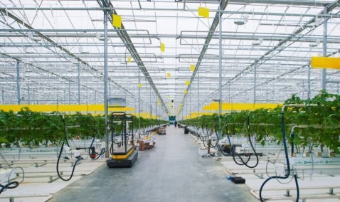 Штат работников «Агрокультура групп» в Кашире вырос до 1500 человек