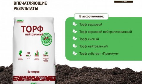 Верховой или низинный? Какой торф нужен садоводу.