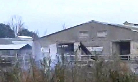 Жители деревни Базарово страдают от зловония и едкого запаха гари