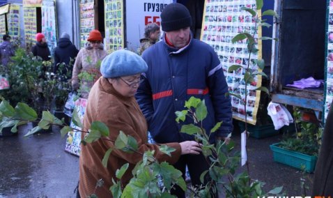 Ежегодная районная конференция садоводов состоится 15 апреля