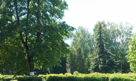 Сквер Пушкина в Кашире-1 стал победителем голосования за благоустройство территории