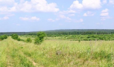 Собственник 33 гектаров земли в Кашире отделался предупреждением за зарастание участка