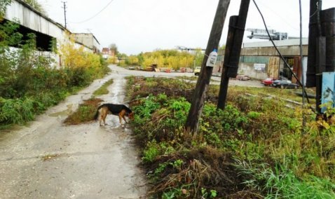 Почти 1,5 миллиона рублей потратят на обновление освещения улицы в Кашире-2