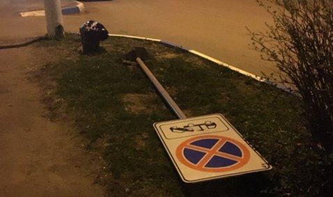 В Кашире начали бороться с неугодными дорожными знаками?