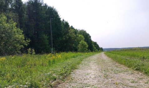 Дороги к СНТ в Кашире собрали больше всего голосов в голосовании на «Доброделе»