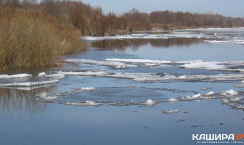 Синоптики отмечают рост уровня воды в Оке