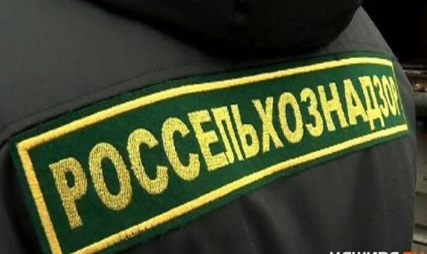 Штраф 200 тысяч рублей заплатит владелец АО «Каширские овощи» за ненадлежащее содержание земли