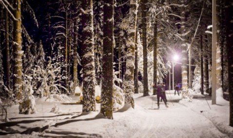 Около 3,5 миллионов рублей потратят на устройство системы освещения лыжной трассы в Каширском городском парке