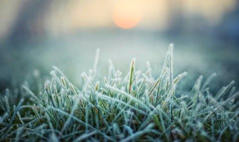 Холоднее всех: в Кашире минувшей ночью поставлен температурный рекорд Подмосковья