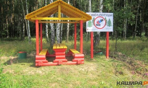 Кашира в числе муниципалитетов с минимальными пожарными рисками