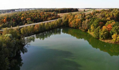 В Кашире потратят полмиллиона рублей на очистку береговых зон водоемов