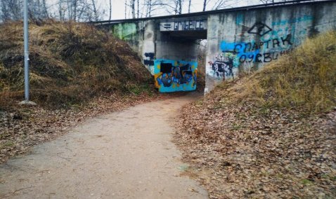 Где в Кашире неспокойно: на «Доброделе» стартовал сбор предложений по повышению безопасности