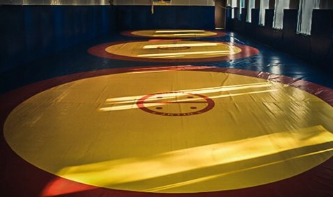 Юный воспитанник секции самбо Ожерелья погиб в результате обрушения коровника в городском округе Кашира