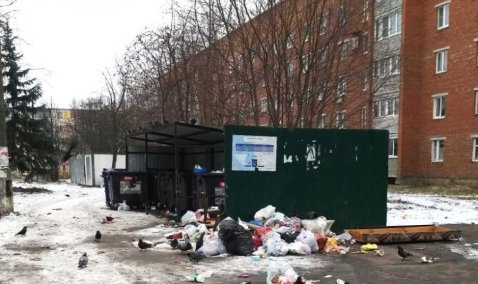 Жильцы домов по улице Садовой хотят установить камеру наблюдения, чтобы следить за чистотой контейнерной площадки