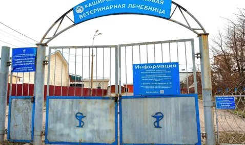 Старую ветклинику в Кашире отремонтируют по федеральной программе