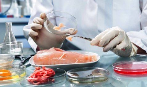 Россельхознадзор обнаружил опасные для жизни сальмонеллы в полуфабрикатах Каширского предприятия