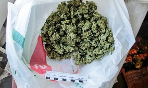 Полкилограмма наркотиков изъяли в Кашире у уроженца Средней Азии