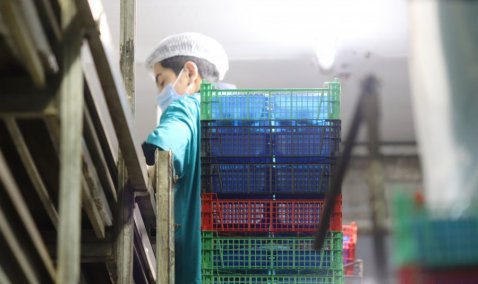 В Кашире назвали предприятия, где сконцентрировано самое большое количество мигрантов