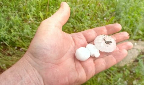Град с перепелиное яйцо накрыл несколько населенных пунктов городского округа Кашира