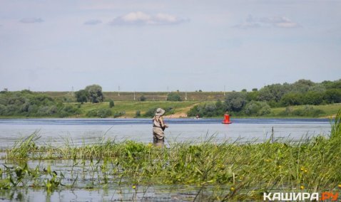 Специалисты рассказали о лучших местах для рыбалки в районе Каширы