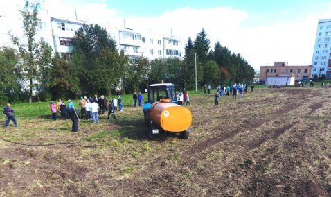 Сотни саженцев деревьев высадят в Кашире в рамках акции «Наш лес»
