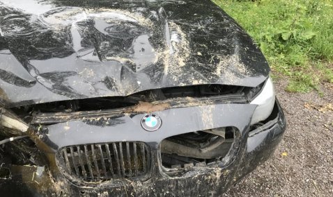 Водитель автомобиля BMW пострадал в результате ДТП