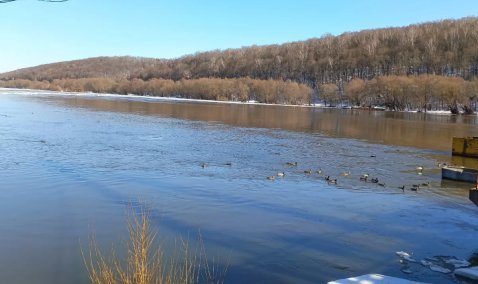 В Озерах из-за паводка закрывают наплавной мост: объезд – через Каширу