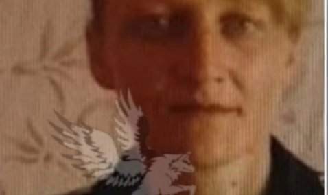 Белорусские волонтеры разыскивают пропавшую женщину, которая может находиться в Кашире