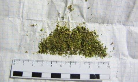 Каширянин отделался штрафом за хранение у себя дома марихуаны