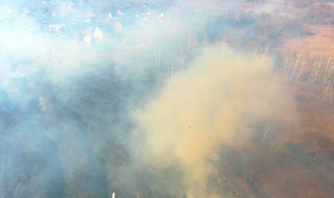 Кашира оказалась лидером Подмосковья по числу возгораний сухой травы