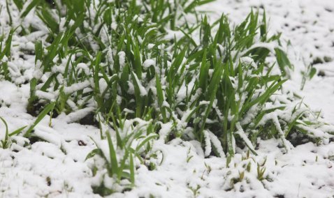 В Кашире побит 30-летний рекорд по числу осадков