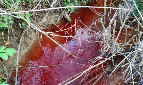 Прорыв магистрали тепличного комплекса – названа официальная причина «багрового ручья» под Каширой