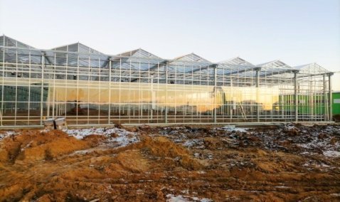 Пятую очередь тепличного комплекса в Кашире обещают достроить в начале 2021 года