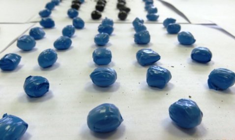 Перевозчика более 2-х килограммов наркотиков заключили под стражу в Кашире