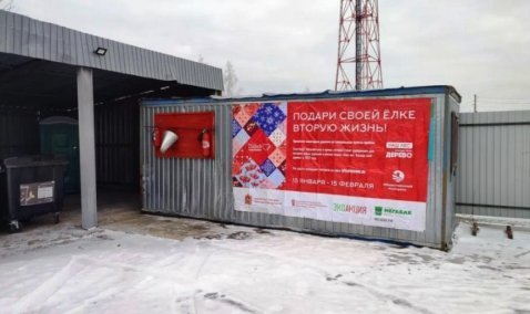 Три площадки для сбора новогодних елок открыли в Кашире