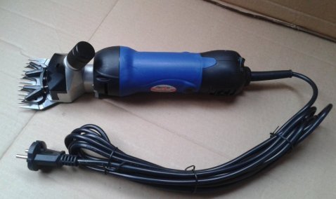 Каширянин может отправиться за решетку на 6 лет за кражу пилы и ножниц для стрижки овец