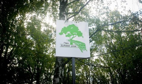 Детскую и спортивную площадки установят в Ожерельевском парке «Дубовая роща»